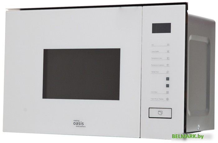 Микроволновая печь Oasis (Making Oasis Everywhere MW-SGW - фото2
