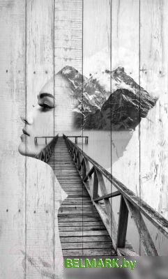 Картина White Wood B112-V-096-160-6.11 160x96 см - фото2