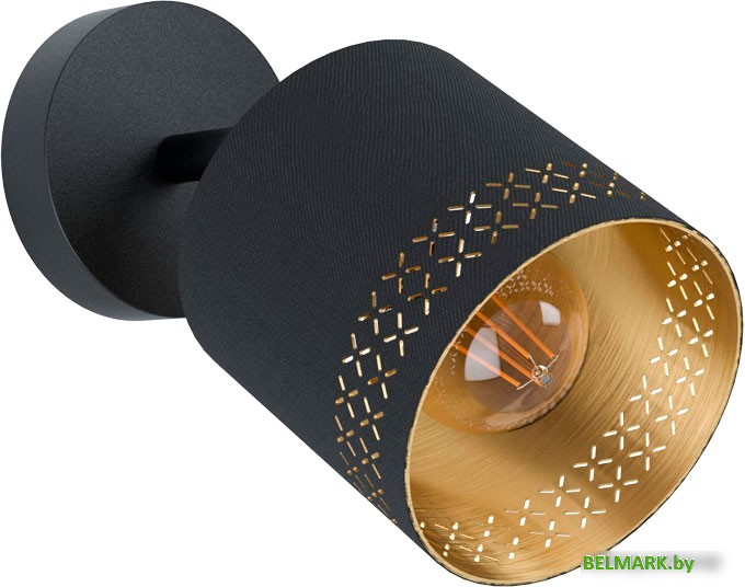 Спот Eglo Esteperra 99276 - фото