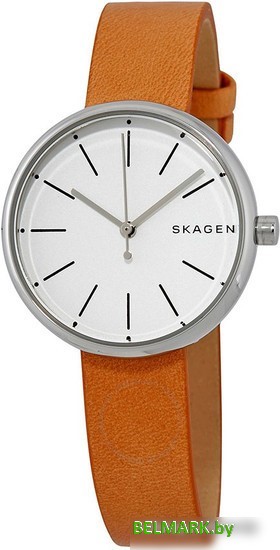 Наручные часы Skagen SKW2594 - фото