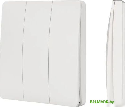 Пульт управления Arlight Tuya-228-3-RF-Suf 033668 - фото