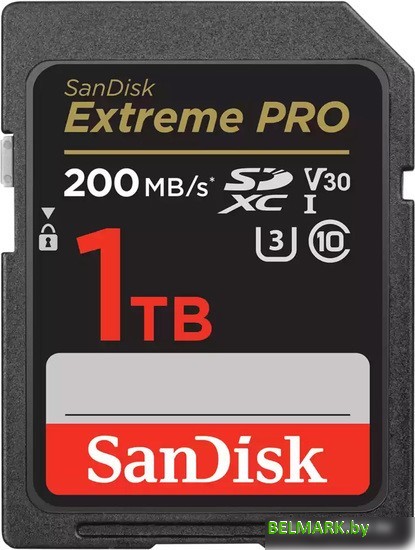 Карта памяти SanDisk Extreme PRO SDXC SDSDXXD-1T00-GN4IN 1TB - фото