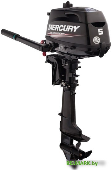 Лодочный мотор Mercury F5 MH - фото