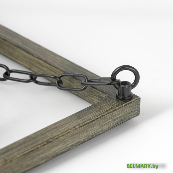 Подвесная люстра Lussole Fremont LSP-8817 - фото2