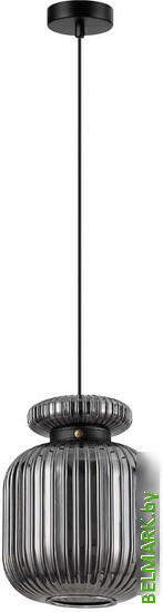 Подвесная люстра Odeon Light Jugi 5042/1B - фото