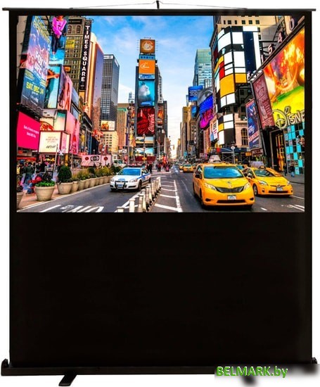 Проекционный экран CACTUS FloorCompactExpert 113x200 CS-PSFLCE-200X113 - фото