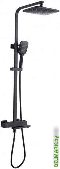 Душевая штанга Vieir 393561-C - фото