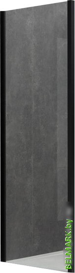 Душевая стенка Allen Brau Priority 3.31048.BBA 99x200 294077 (черный браш) - фото