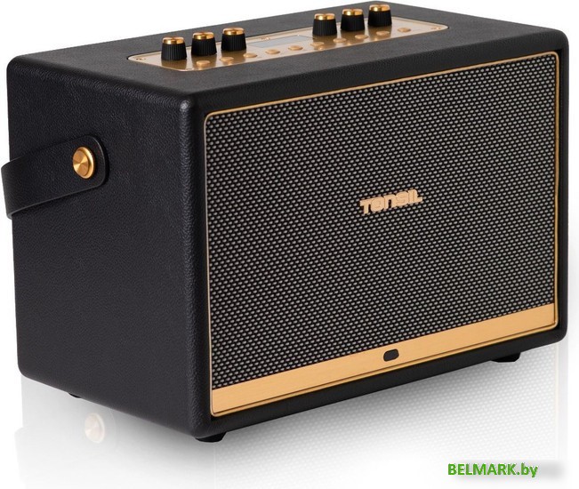 Беспроводная колонка Tonsil Magna - фото