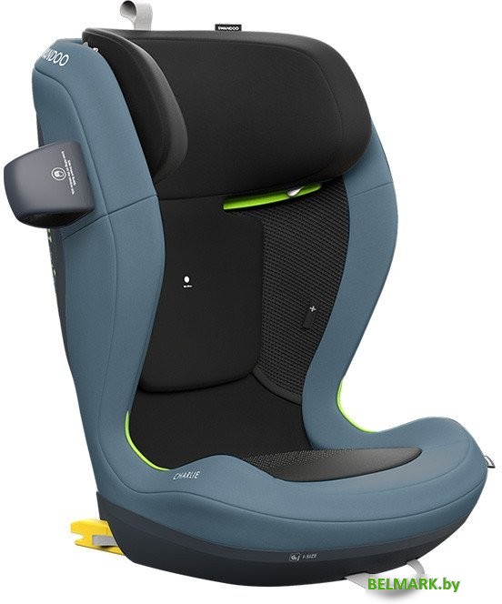 Детское автокресло Swandoo Charlie i-size (blueberry) - фото