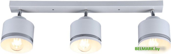 Спот Imex SP.025-53-80 - фото