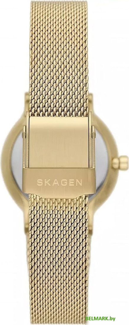 Наручные часы Skagen SKW3110 - фото2
