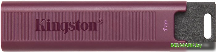 USB Flash Kingston DataTraveler Max Type-A 1TB - фото