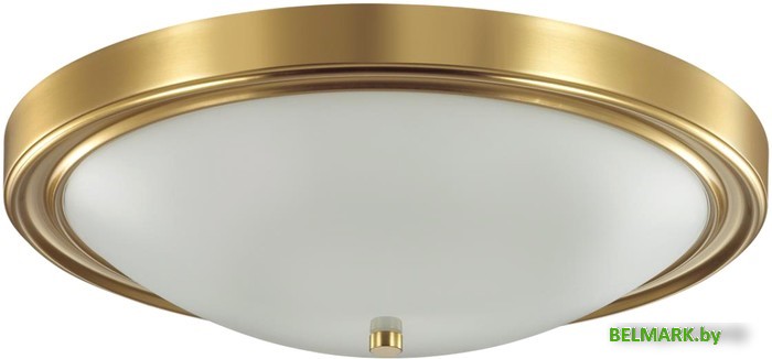 Припотолочная люстра Lumion Nina 5259/4C - фото