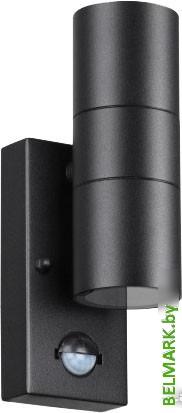 Уличный настенный светильник Odeon Light Motto 4389/2W - фото