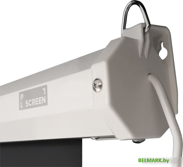 Проекционный экран PL Magna MRSM-NTSC-145D - фото2