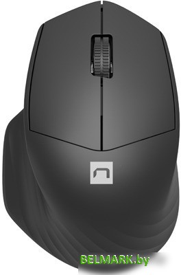 Мышь Natec Siskin 2 (черный) - фото