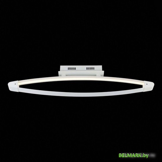 Припотолочная люстра ST Luce Orione SL920.102.01 - фото2