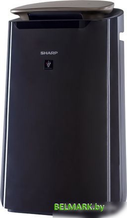 Очиститель воздуха Sharp FP-J80EU-H - фото