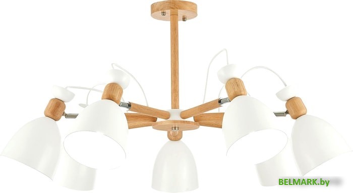 Люстра средней высоты Evoluce Balcamo SLE103802-07 - фото