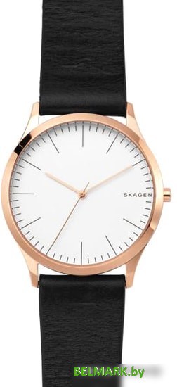 Наручные часы Skagen SKW1102 - фото