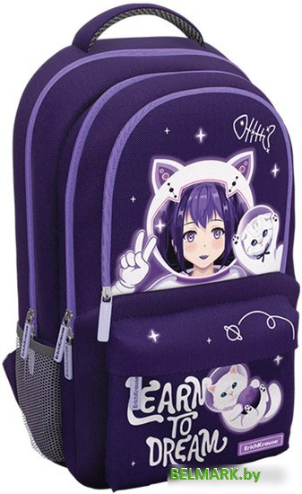 Городской рюкзак Erich Krause ActiveLine Ergoback 22L Space Anime 60144 - фото