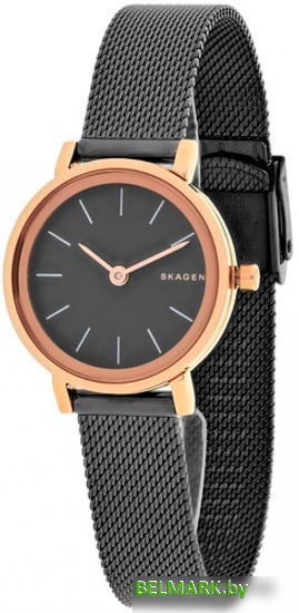 Наручные часы Skagen SKW2492 - фото2