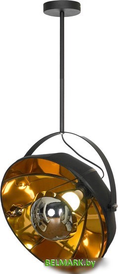 Подвесная люстра Lussole Klamath LSP-0556-C80 - фото