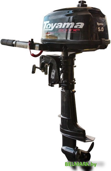 Лодочный мотор Toyama T5BMS - фото