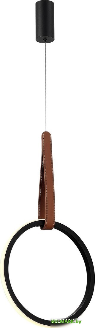 Подвесная люстра ST Luce SL6131.403.12 - фото