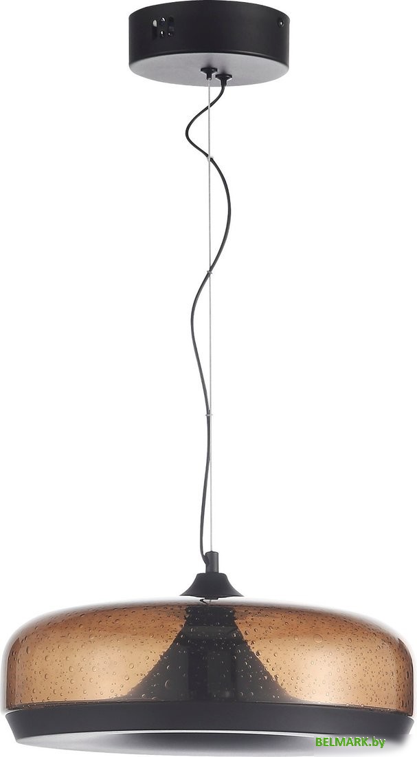 Припотолочная люстра ST Luce SL6014.603.01 - фото2