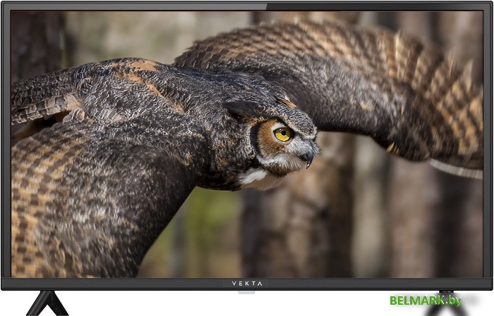 Телевизор Vekta LD-40SF4113BT - фото