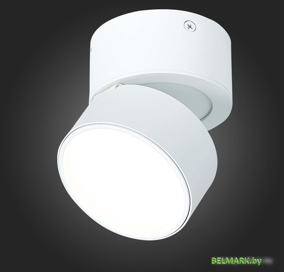 Припотолочная люстра ST Luce ST651.542.09 - фото2