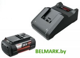 Аккумулятор с зарядным устройством Bosch F016800621 (36В/2 Ah + 36В) - фото