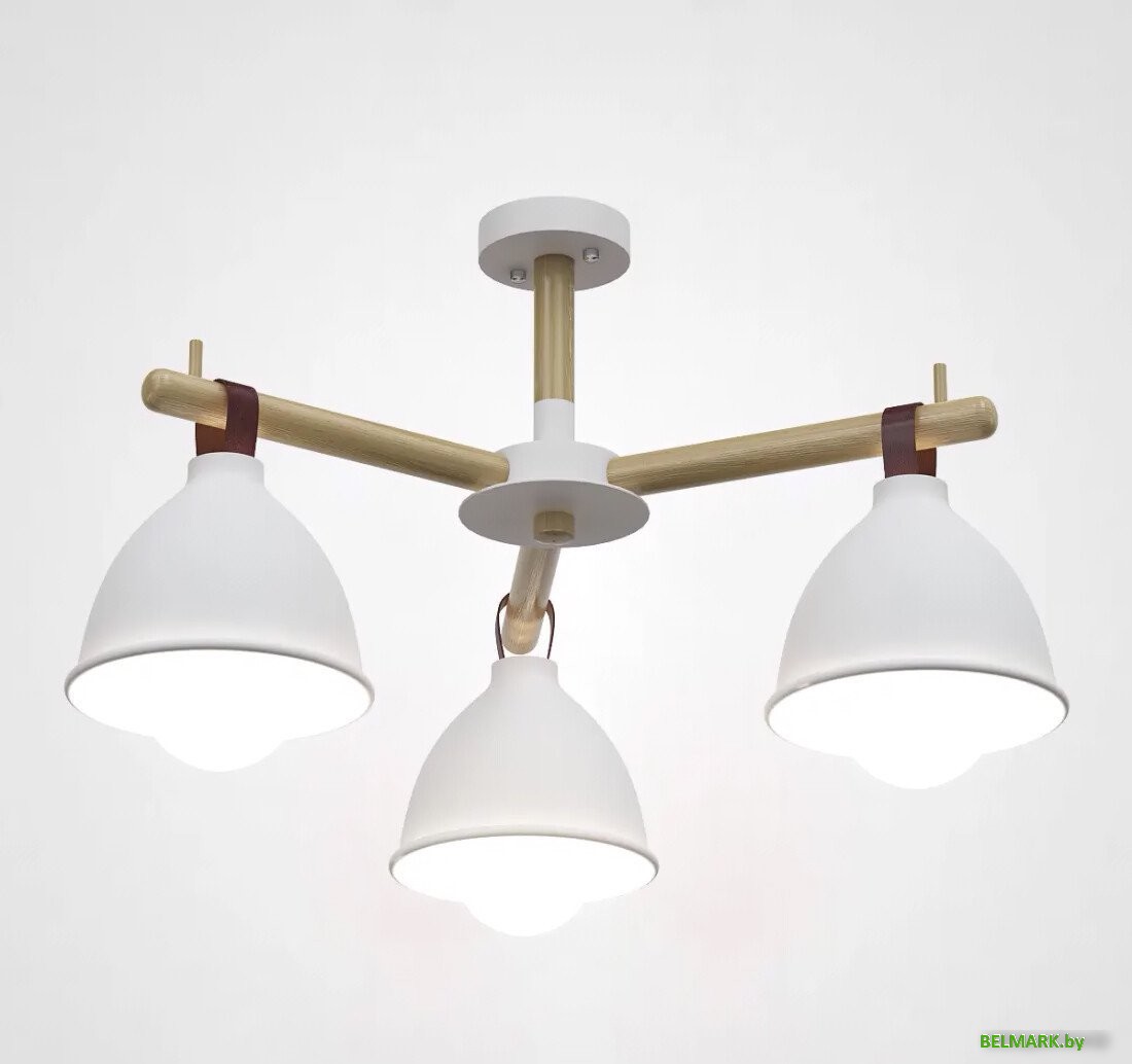 Люстра средней высоты ImperiumLoft Flan01 101588-26 - фото