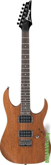 Электрогитара Ibanez RG421 MOL - фото
