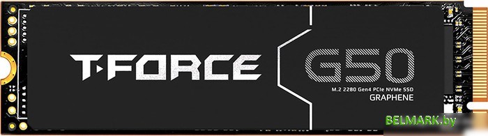 SSD Team T-Force G50 1TB TM8FFE001T0C129 - фото