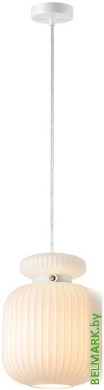 Подвесная люстра Odeon Light Jugi 5042/1C - фото2