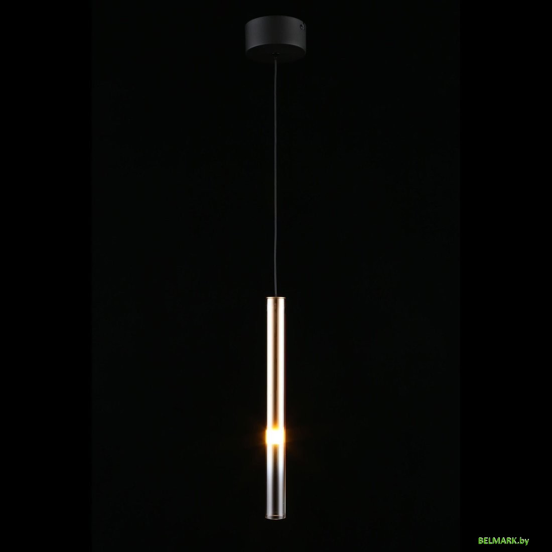 Подвесная люстра Aployt APL.059.06.04 - фото2