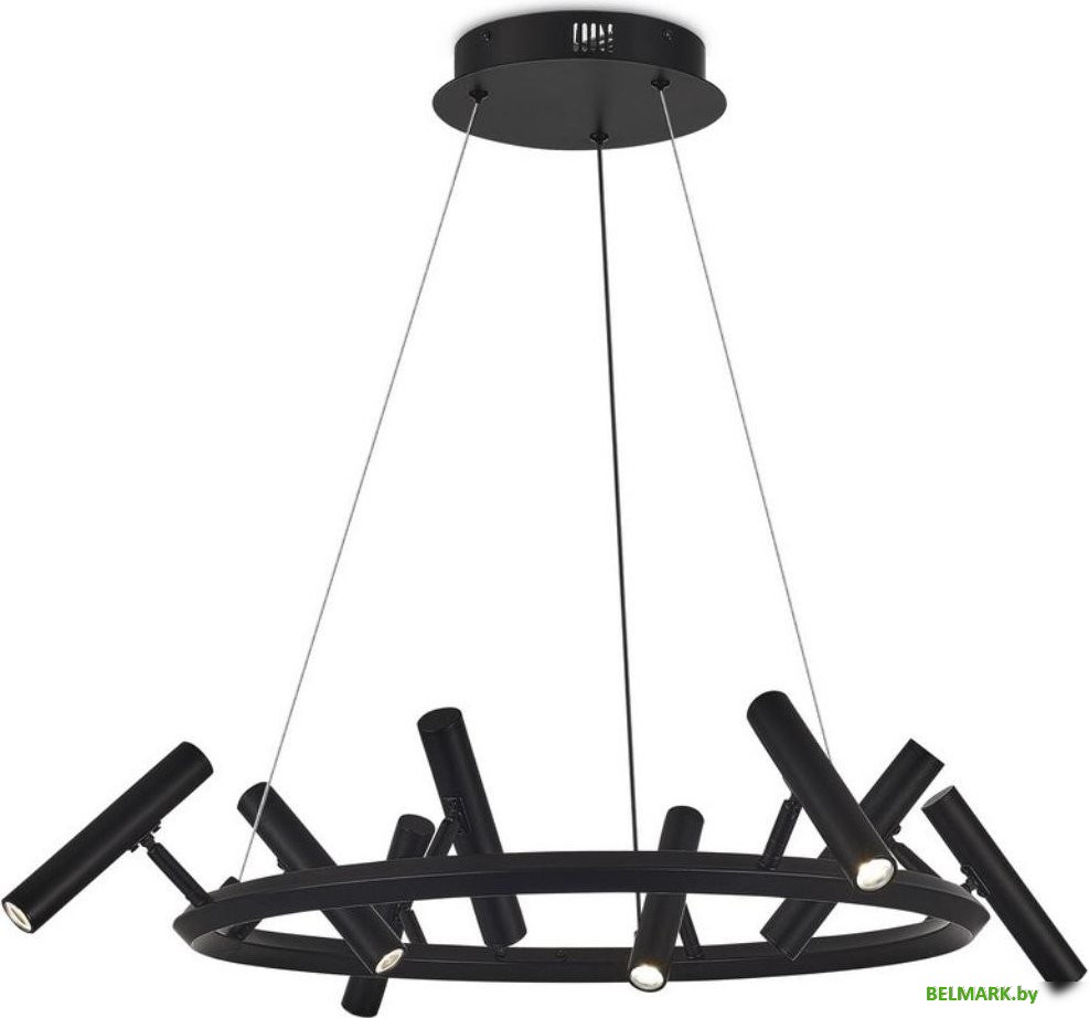 Подвесная люстра Aployt APL.067.03.40 - фото