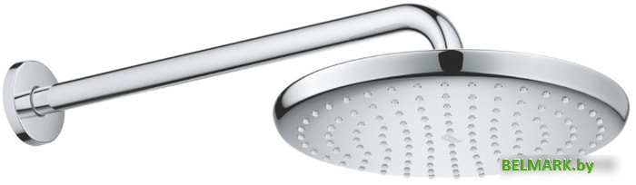 Верхний душ Grohe Tempesta 250 26663000 - фото2