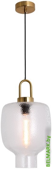 Подвесная люстра Lussole Laredo LSP-8845 - фото