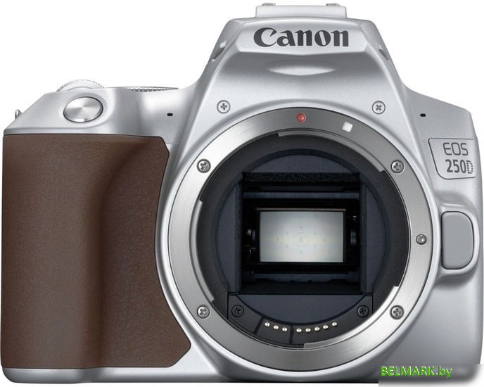 Зеркальный фотоаппарат Canon EOS 250D Kit 18-55 IS STM (серебристый) - фото2
