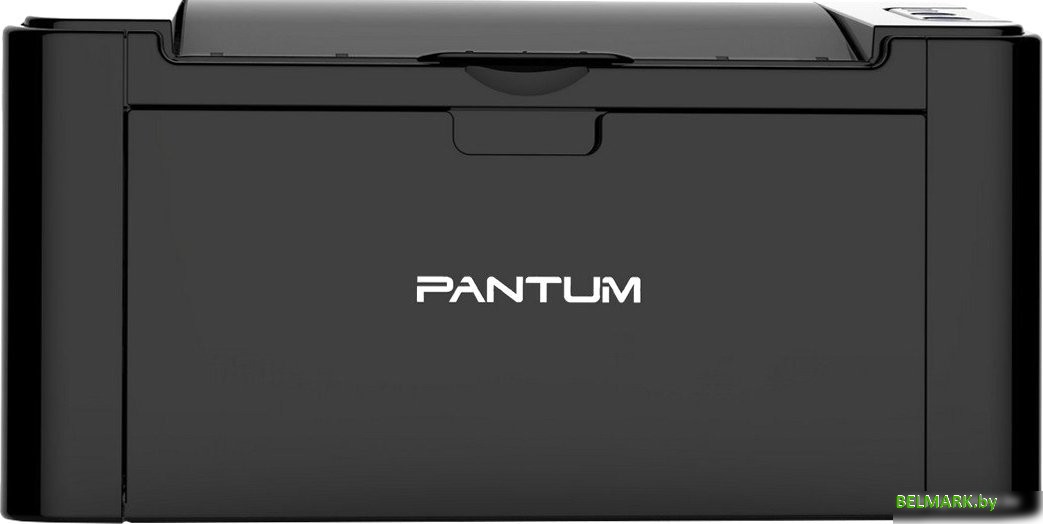 Принтер Pantum P2500W - фото