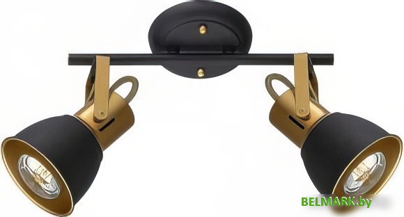 Спот Arte Lamp Jovi A1677PL-2GO - фото