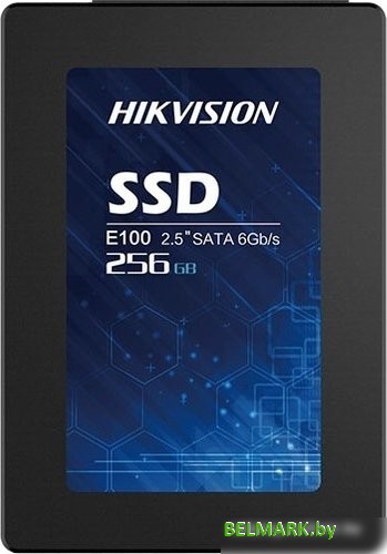 SSD Hikvision E100 256GB HS-SSD-E100/256G - фото