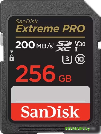 Карта памяти SanDisk Extreme PRO SDXC SDSDXXD-256G-GN4IN 256GB - фото