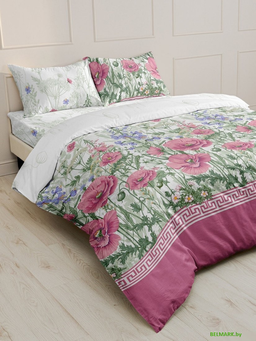 Постельное белье Реноме 2сп с Евро простыней Шуя 216391 (бязь) - фото