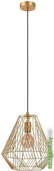 Подвесная люстра Eglo Stype 43695 - фото