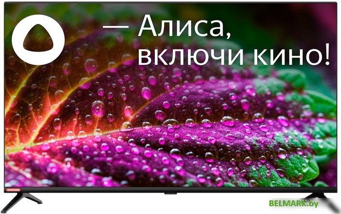 Телевизор StarWind SW-LED32SG300 - фото